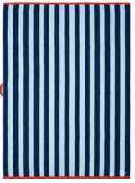 1 পিস   গোসলের টাওয়াল  Blue & white color - Image 3
